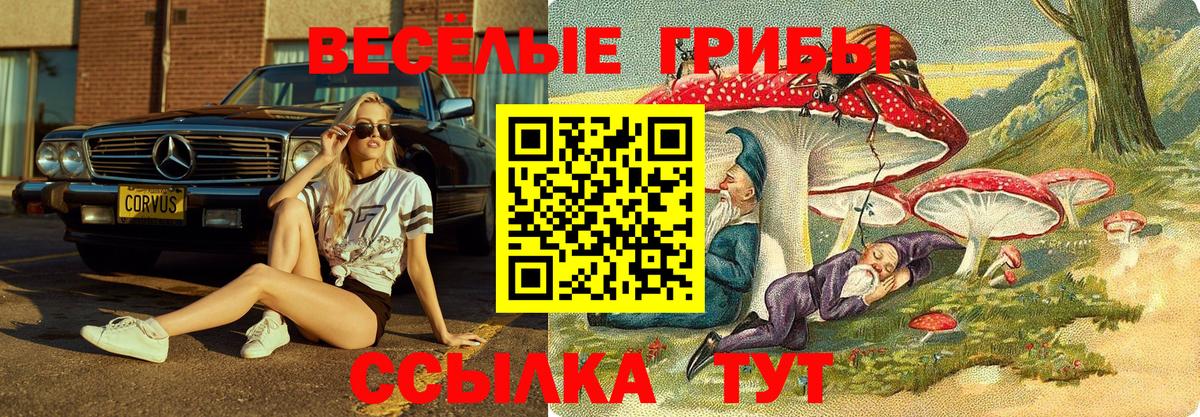 Сызрань  где купить наркоту  Псилоцибиновые грибы мухоморы  Вход с VPN  Галлюциногенные грибы Cubensis 